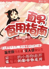 直男食用指南