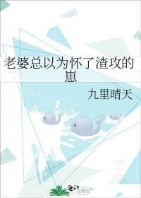 老婆總以為懷了渣攻的崽