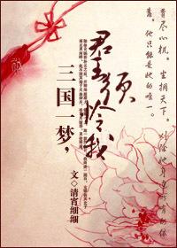 三國一夢，君王須憐我