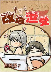 重生之改造渣受