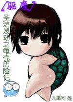 聖潔發動之龜殼歷險記