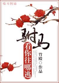 驸馬，看你往哪逃