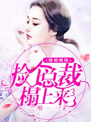 暖婚纏綿，撿個總裁榻上來