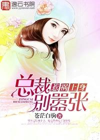 惹禍上身，總裁別嚣張淩樂樂林簫