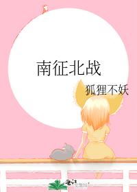 南征北戰