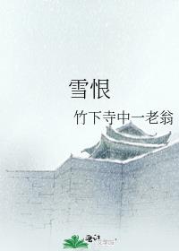 雪恨
