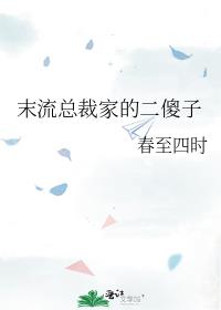 末流總裁家的二傻子