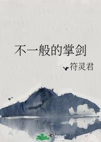 不一般的掌劍
