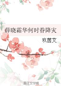 （魔道祖師同人BL）薛曉霜華何時眷降災（上卷）