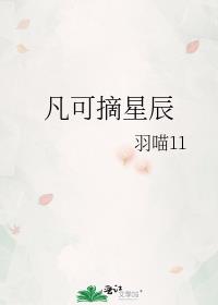 凡可摘星辰