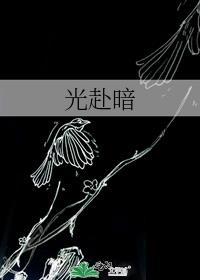 光赴暗