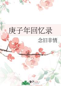庚子年回憶錄