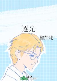 逐光