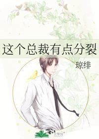 這個總裁有點分裂