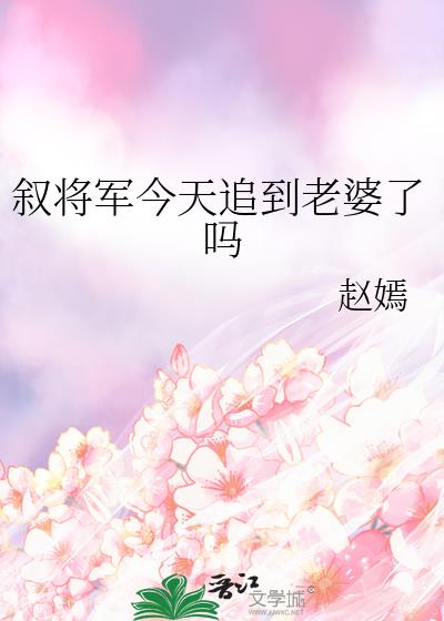 敘将軍今天追到老婆了嗎