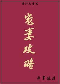 寵妻攻略