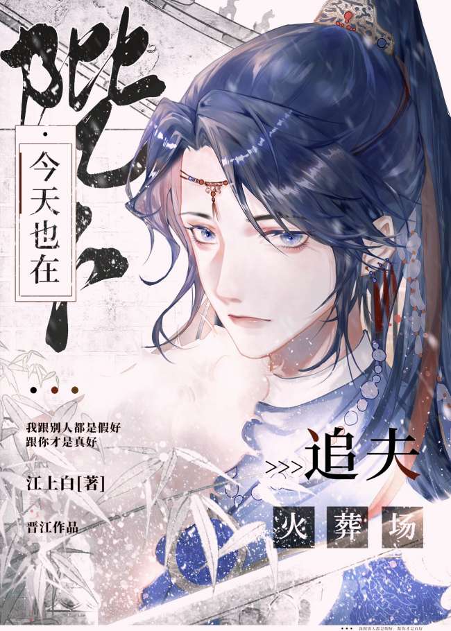 陛下今天也在追夫火葬場