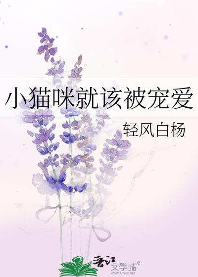 小貓咪就該被寵愛