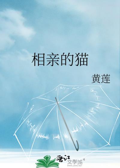 相親的貓