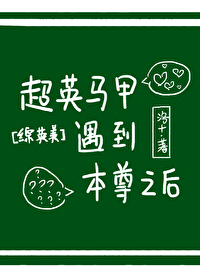 [綜英美]超英馬甲遇到本尊之後