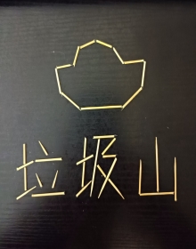 我家垃圾山上全是寶