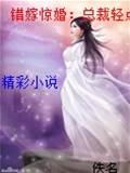 錯嫁驚婚：總裁輕點愛
