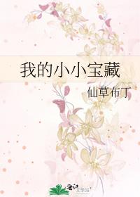 我的小小寶藏