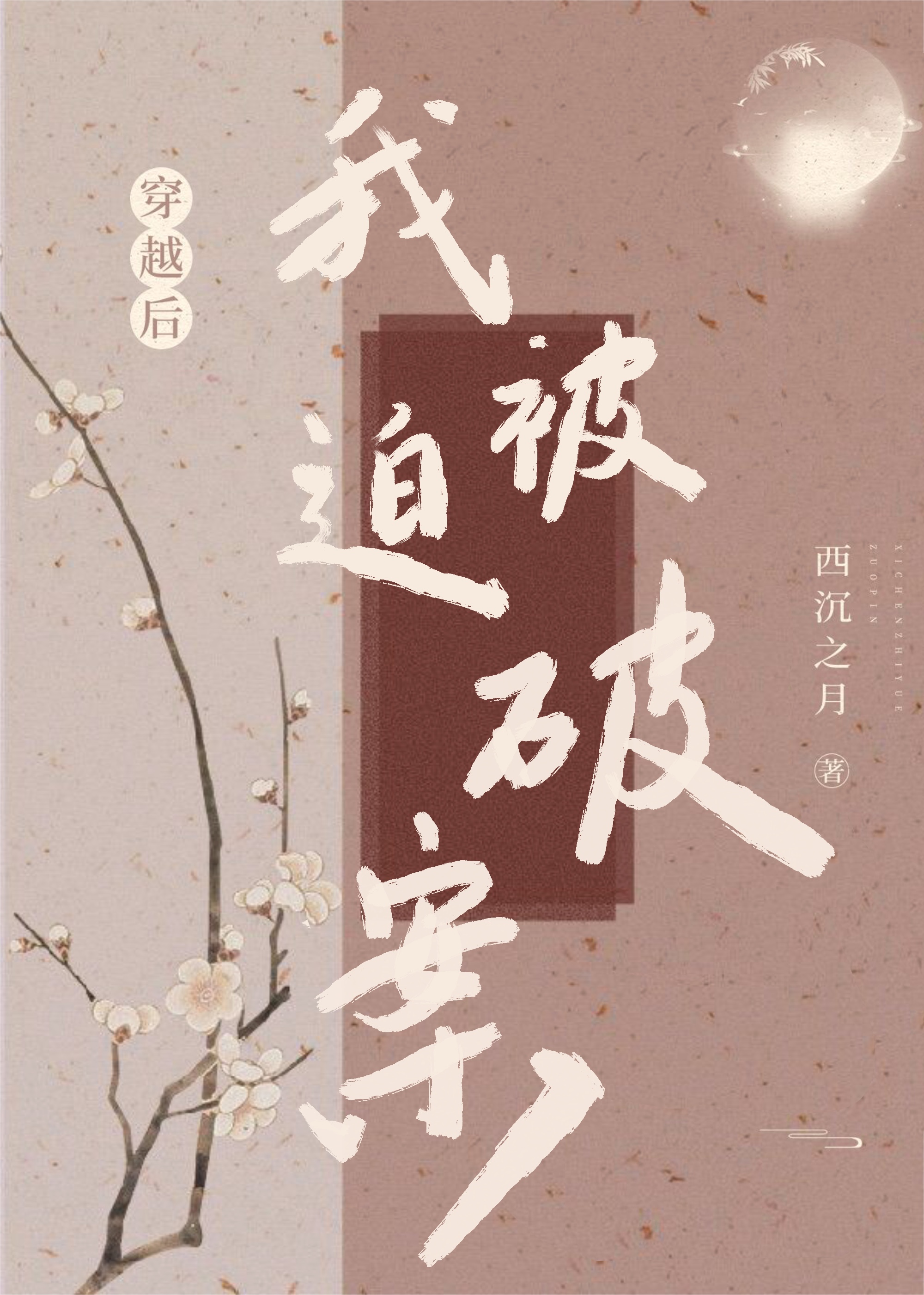 穿越後我被迫破案
