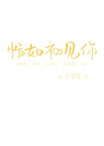 恰如初見你