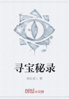 尋寶秘錄