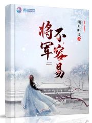 将軍不容易