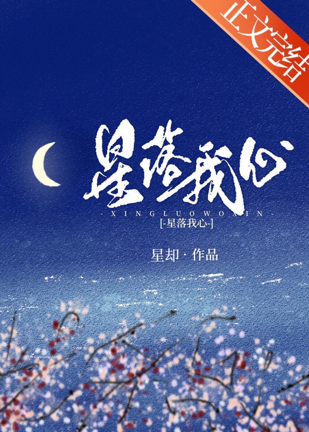 星落我心