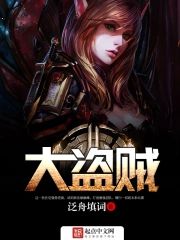 網游之大盜賊
