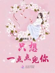 只想一點點寵你