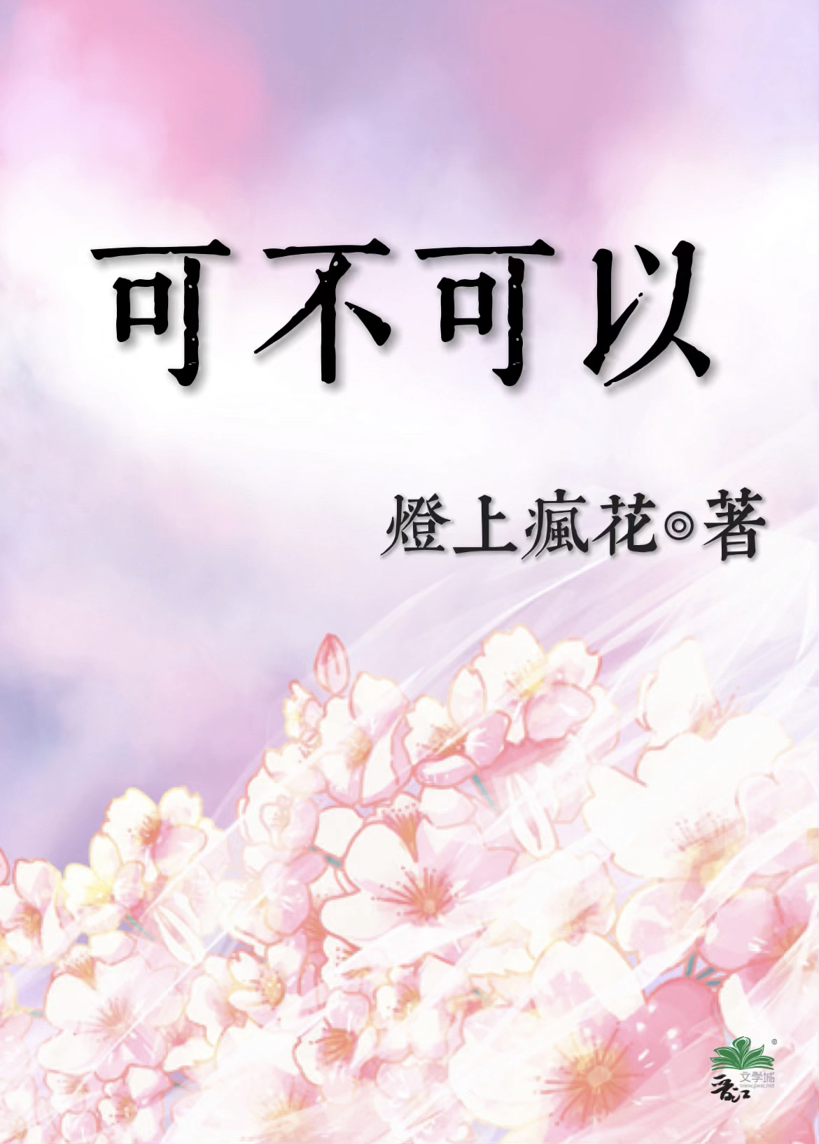 可不可以