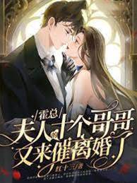 霍總，夫人的十個哥哥又來催離婚了