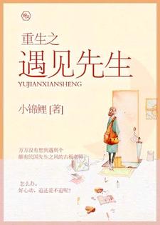 重生之遇見先生