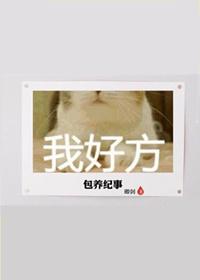 包養紀事
