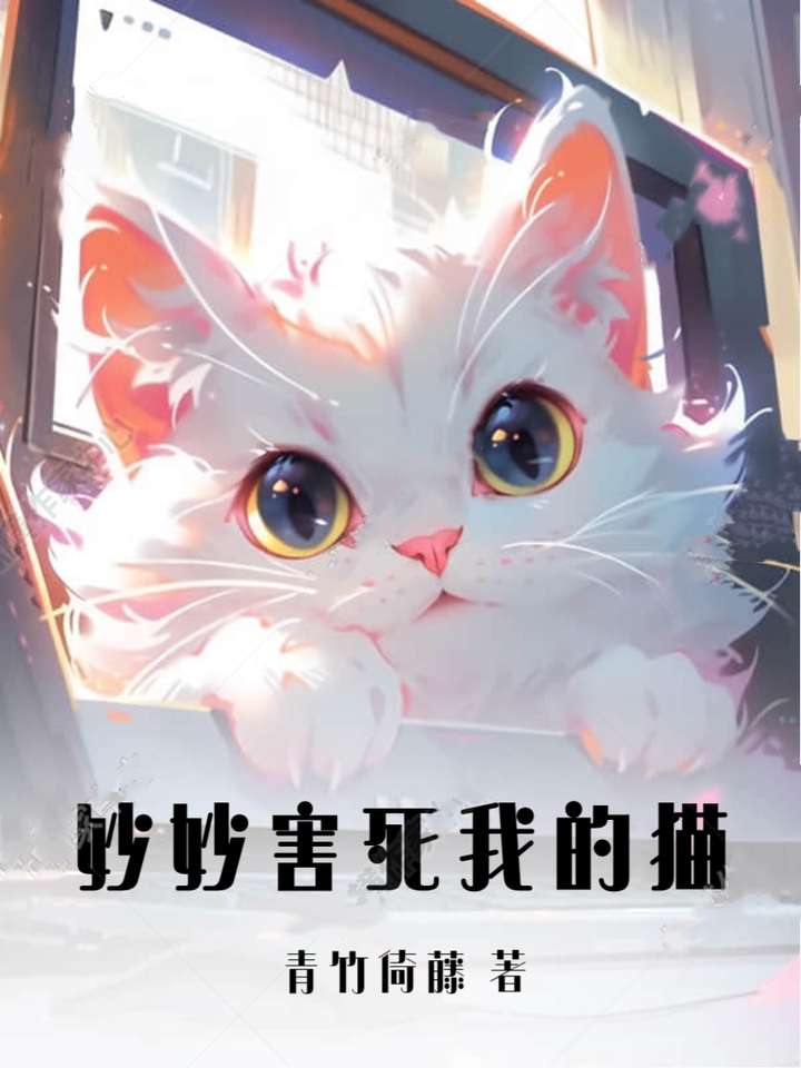 妙妙害死我的貓