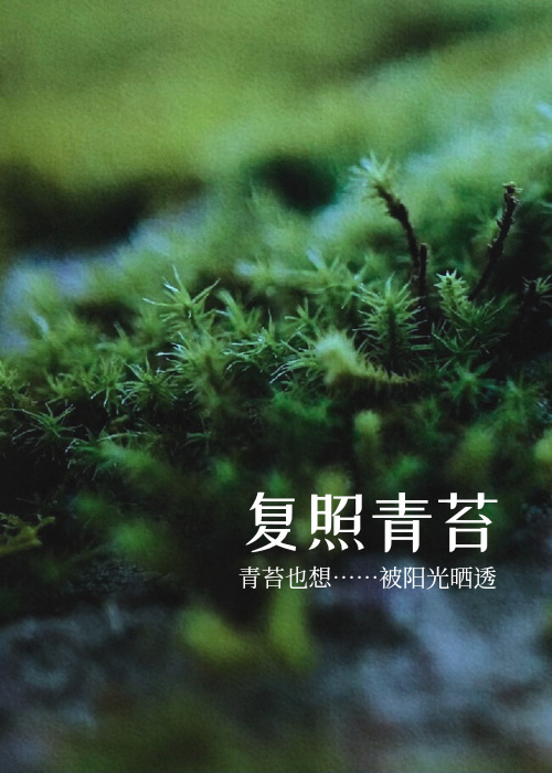 複照青苔