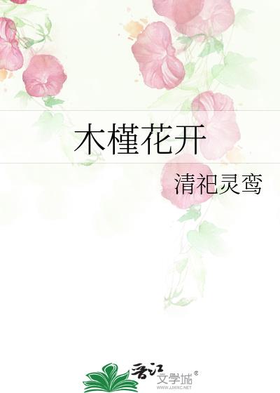 木槿花開