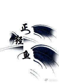 正經魚在線破案
