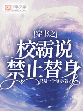 穿書之校霸說禁止替身