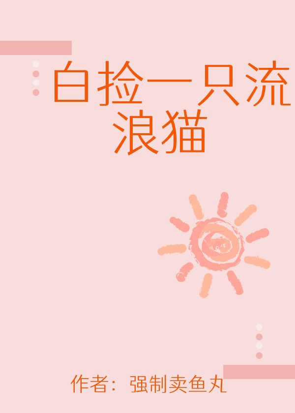 白撿一只流浪貓