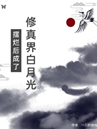 擺爛後成了修真界白月光