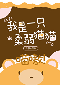 我是一只柔弱貓貓，喵嗷！（星際）