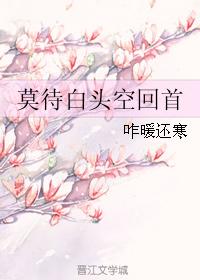 莫待白頭空回首