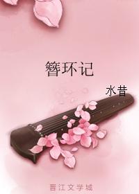 簪環記