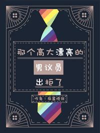 那個高大漂亮的男議員出櫃了