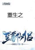 重生之至尊仙侶